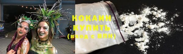 тгк Арсеньев