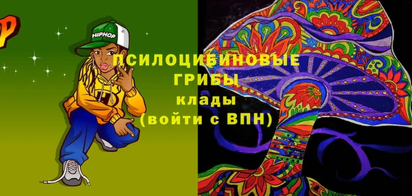 тгк Арсеньев